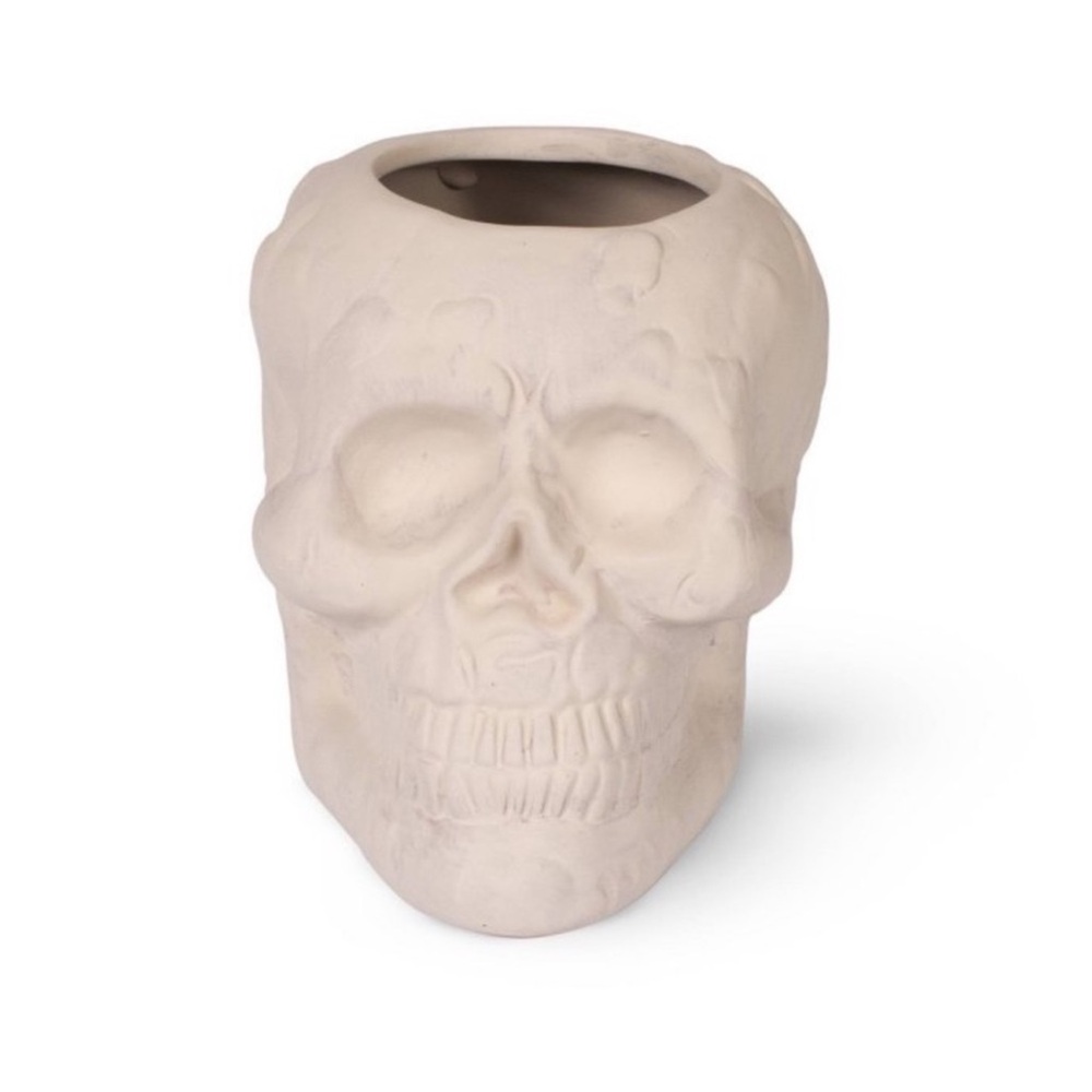 New! Target Bullseye Halloween Terracotta Skull Vessel, white